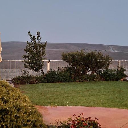 Desert Call Villa Arad Exteriör bild